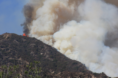 Los Angeles burns, January 2025